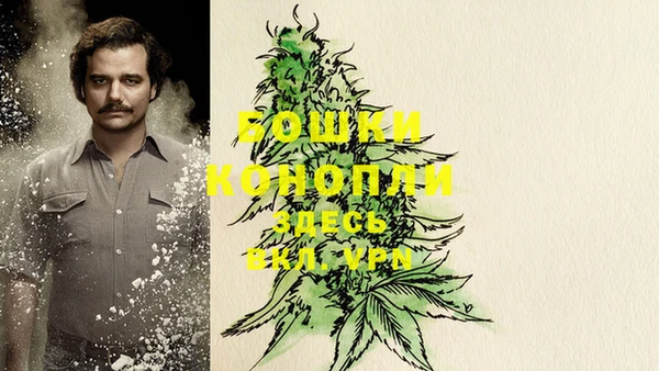 дурь Горно-Алтайск